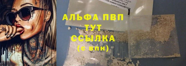 эйфоретик Богданович