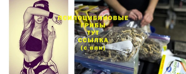 ПСИЛОЦИБИНОВЫЕ ГРИБЫ Богородск