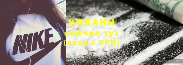 эйфоретик Богданович