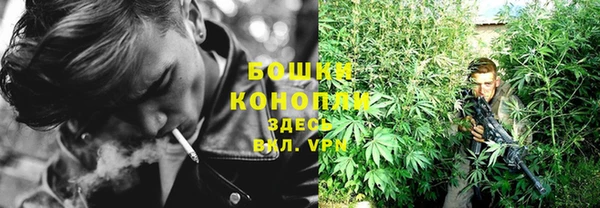 эйфоретик Богданович