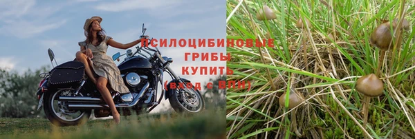 метамфетамин Белокуриха