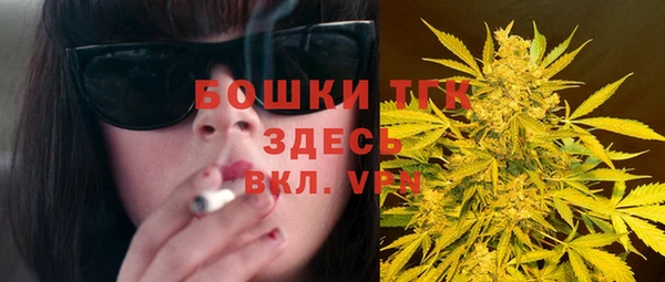 эйфоретик Богданович